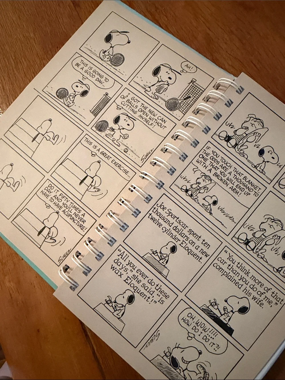 Vintage Snoopy Peanuts Comic Notebook